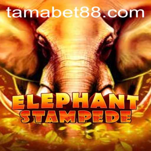 The Thrilling World of ElephantStampede: A Game of Strategy and Adventure