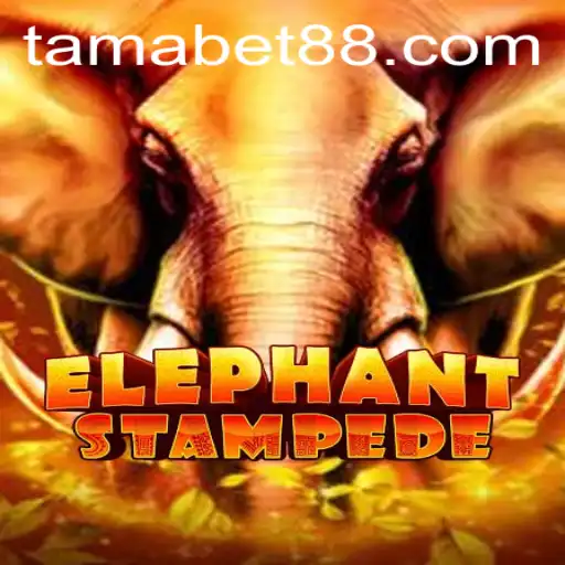 The Thrilling World of ElephantStampede: A Game of Strategy and Adventure