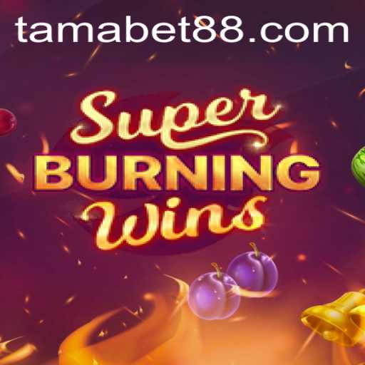 An In-depth Exploration of SuperBurningWins and the Impact of TAMABET