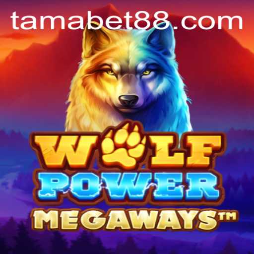 Exploring the Excitement of WolfPowerMega by TAMABET