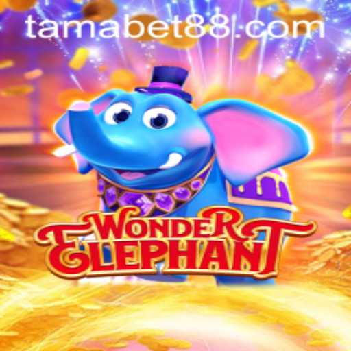 Discovering the Enigmatic World of WonderElephant and TAMABET